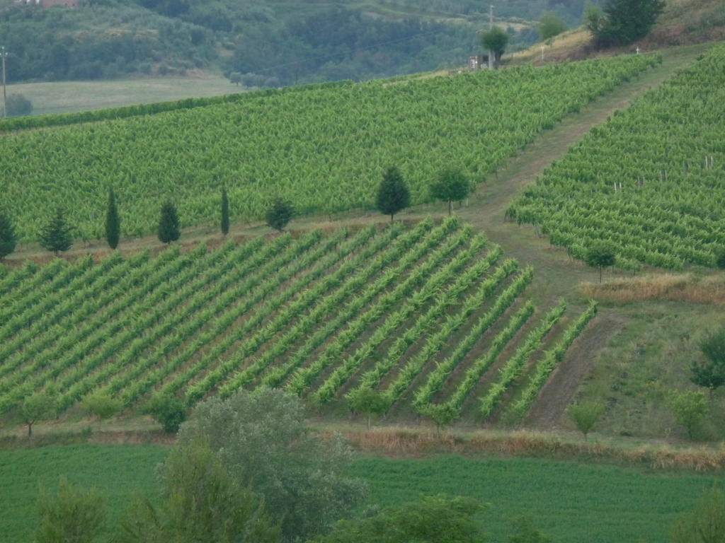 Azienda Agricola Ed Agrituristica Cafaggio Villa Сан Миниато Екстериор снимка